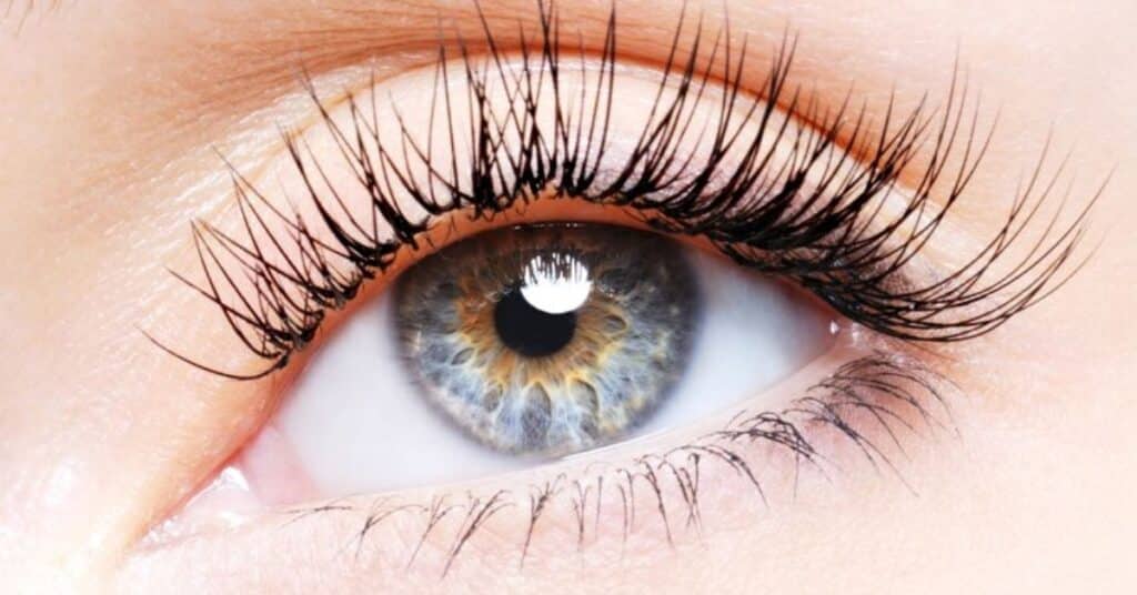 Why You Should Clean Your Lash Extensions